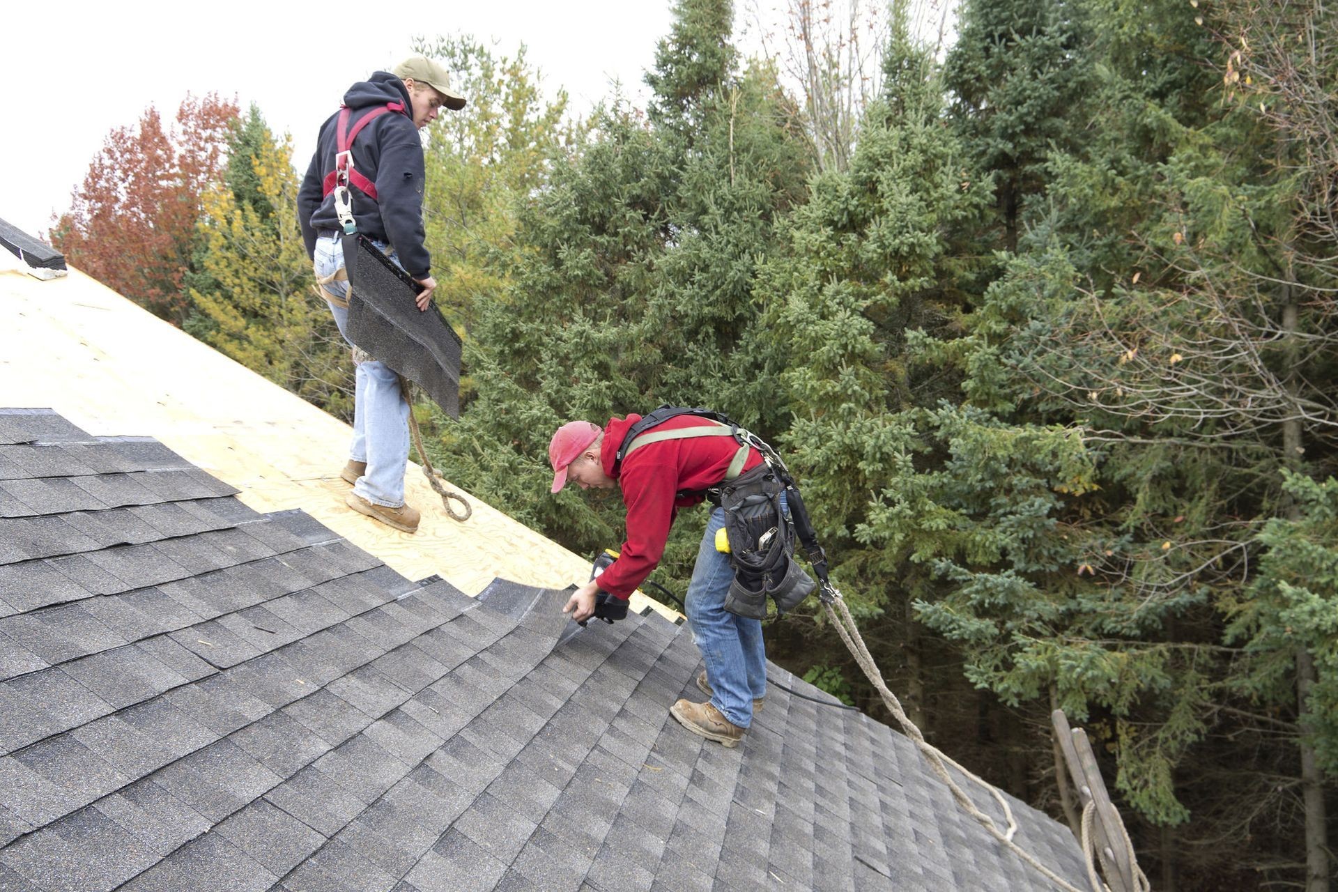 A roofer carefully installing shingles on a steep residential roof, demonstrating expert craftsmanship and safety while performing roof repairs in Ogden, Utah.